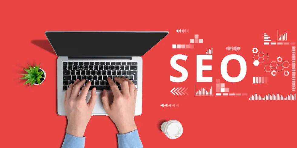 Tips to Choose Top SEO services in Delhi NCR