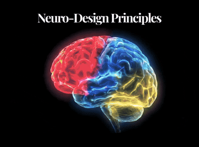 Neuro Design Principles