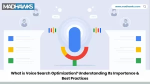 What Is Voice Search Optimization? Importance & Best Practices