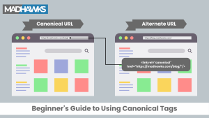Beginners’ Guide to Using Canonical Tag 2026 – Best Practices