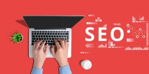 How to Choose the Best SEO Services in Delhi NCR 2026